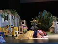 IMG 5282