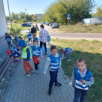Grupa Kotki i Liski