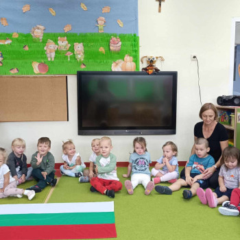 Grupa Sówki