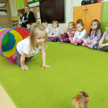 Dzieci podczas zabawy na sali